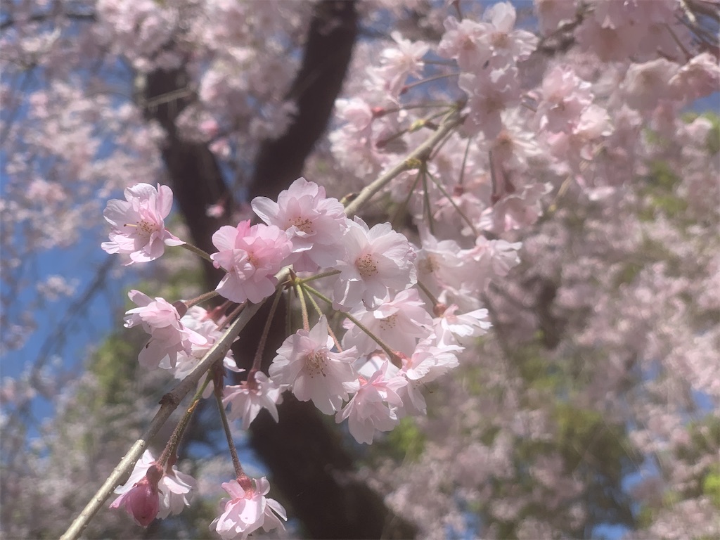 f:id:GK_GK21:20230402114732j:image