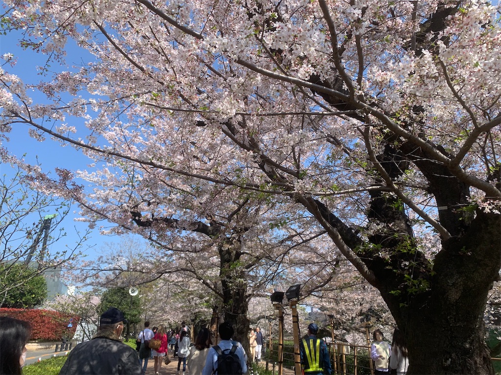 f:id:GK_GK21:20230402114747j:image