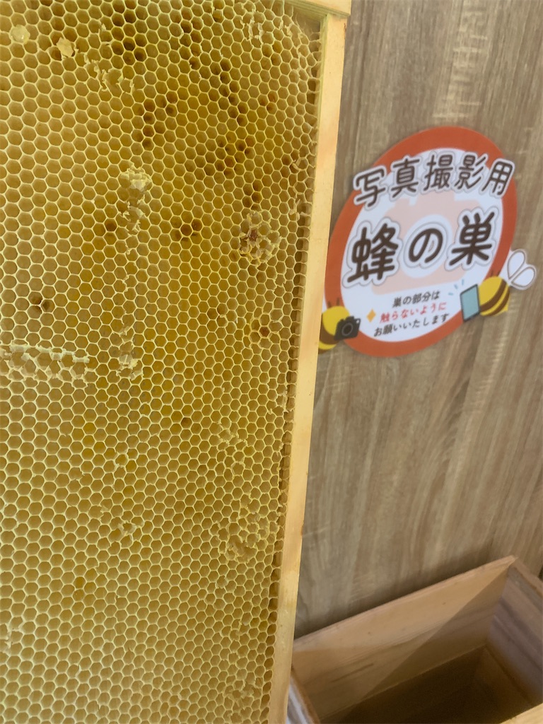 f:id:GK_GK21:20230520073600j:image f:id:GK_GK21:20230520073600j:image