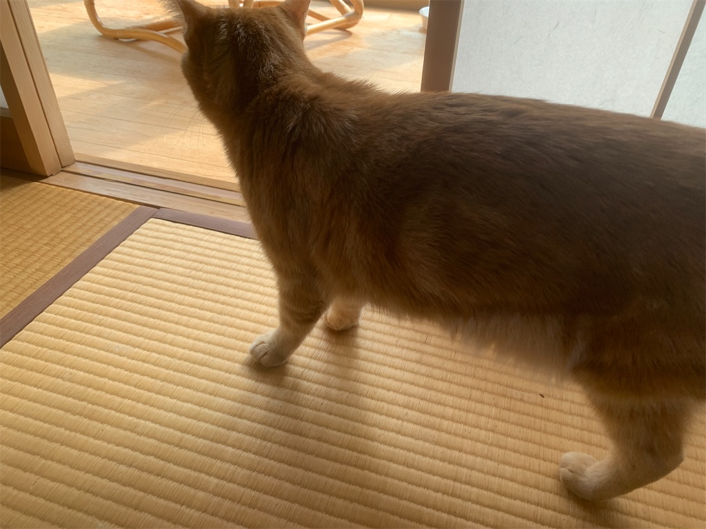 f:id:GK_GK21:20231008164353j:image