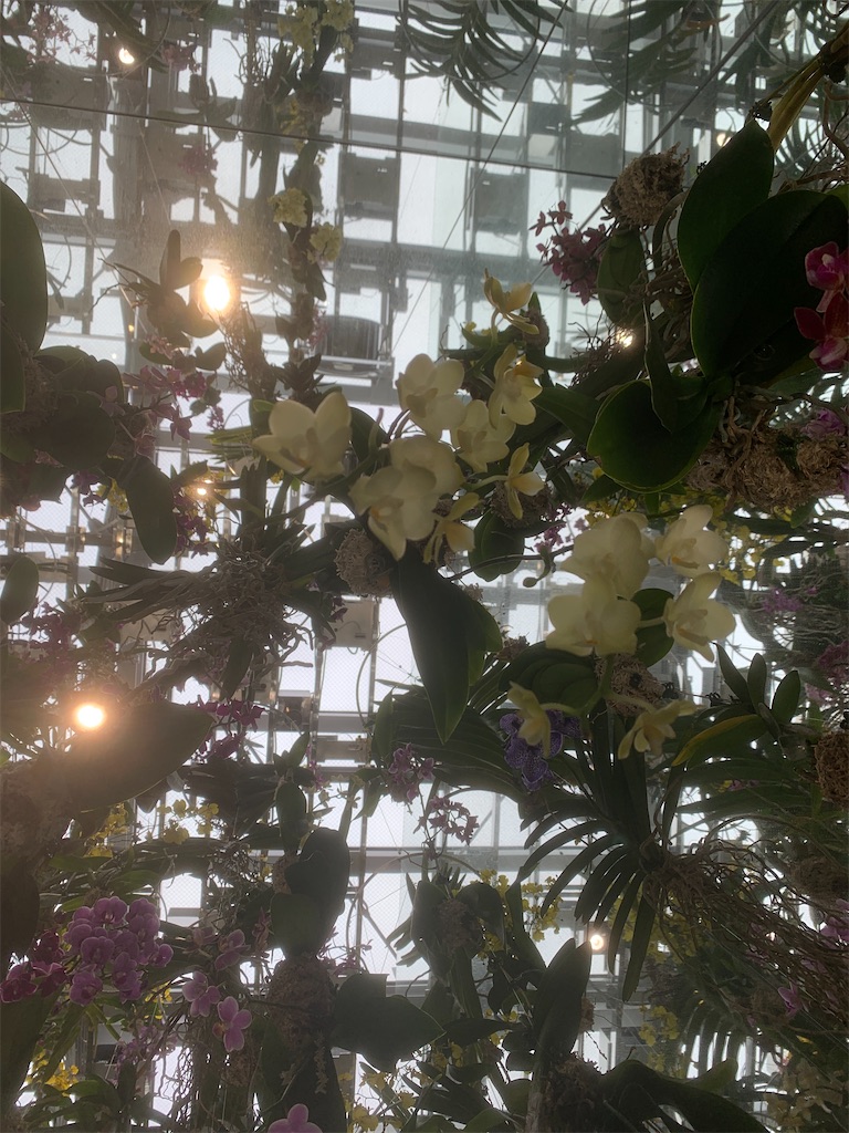 f:id:GK_GK21:20231012072220j:image