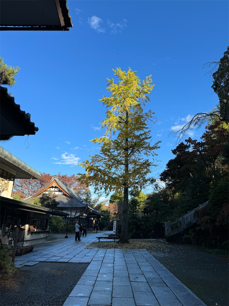 f:id:GK_GK21:20231118090149j:image