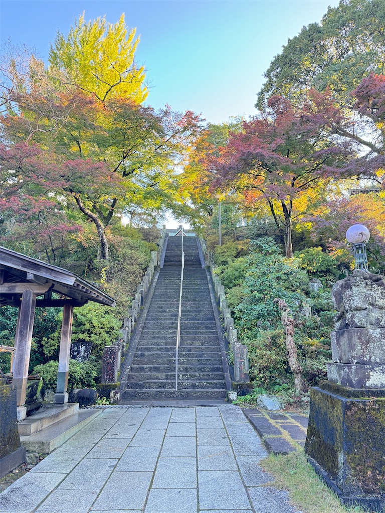 f:id:GK_GK21:20231118090346j:image