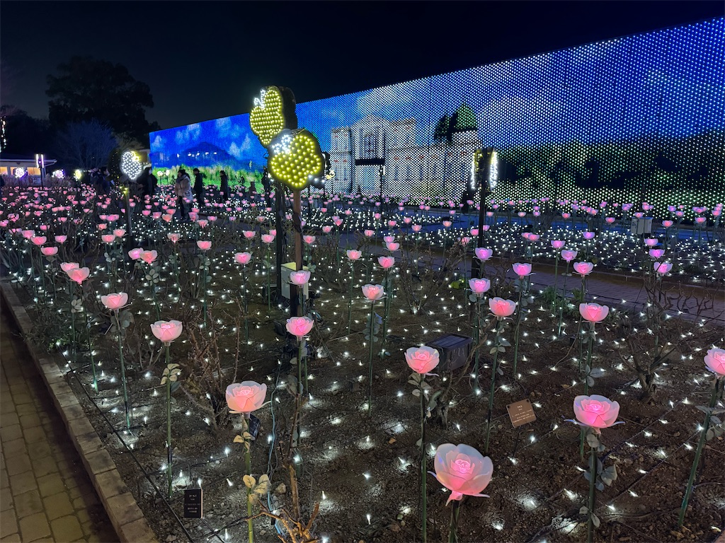 f:id:GK_GK21:20240206031814j:image