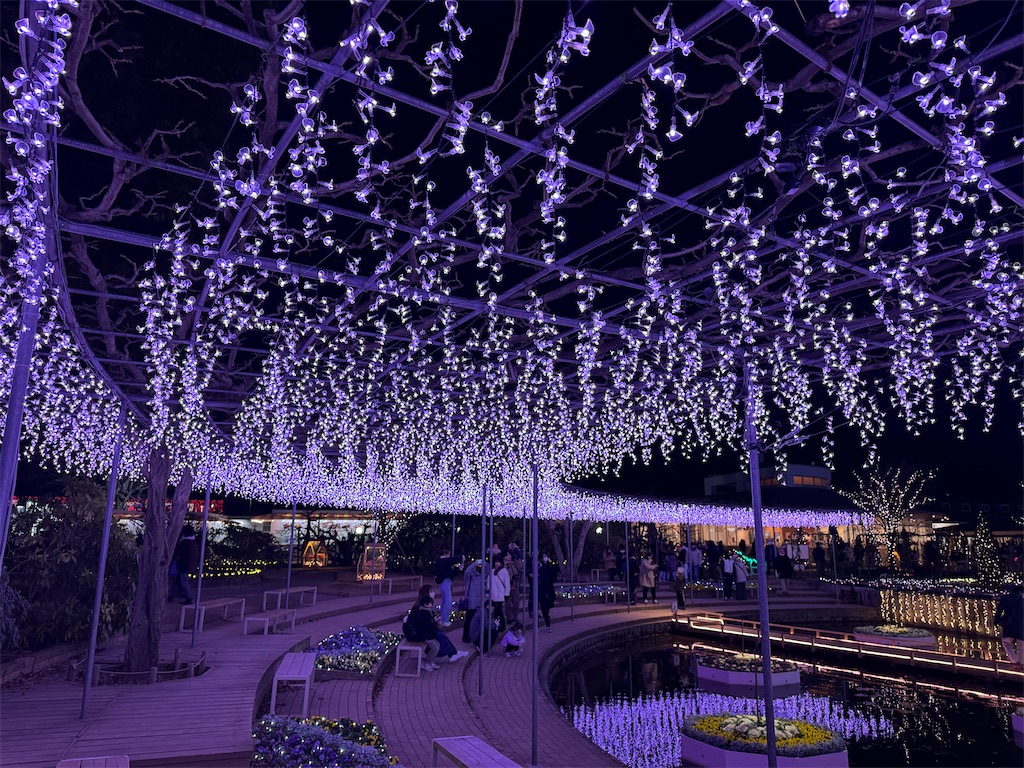 f:id:GK_GK21:20240206031825j:image