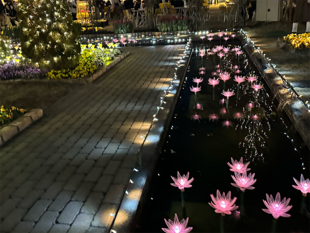 f:id:GK_GK21:20240206031848j:image