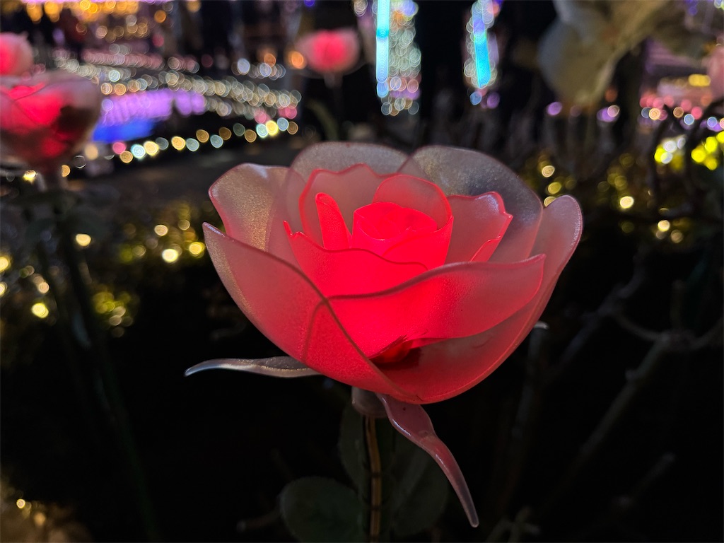 f:id:GK_GK21:20240206031912j:image