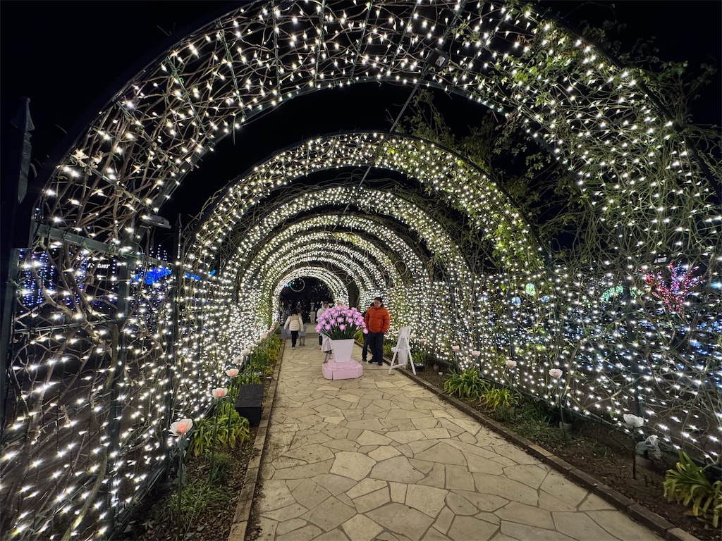f:id:GK_GK21:20240206031938j:image