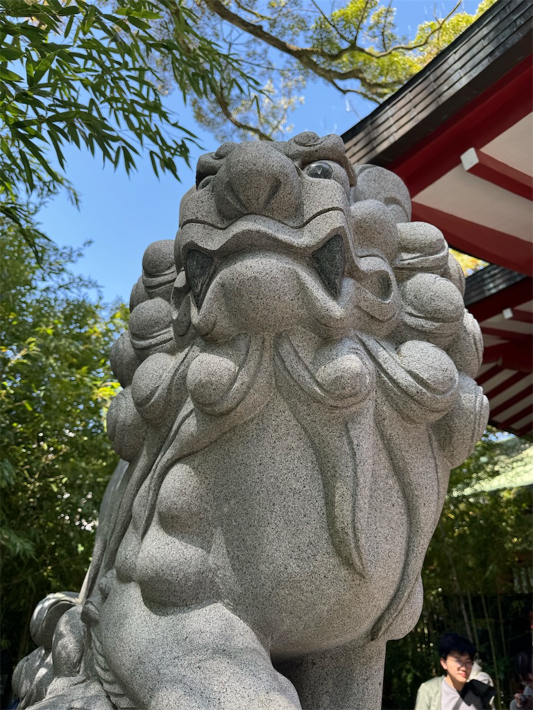 f:id:GK_GK21:20240406044855j:image