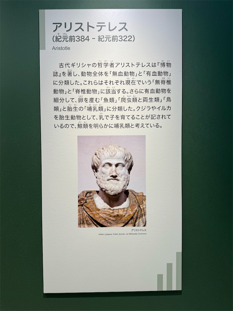 f:id:GK_GK21:20240407133128j:image f:id:GK_GK21:20240407133128j:image