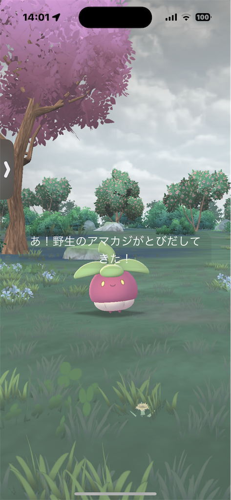 f:id:GK_GK21:20240519181020p:image