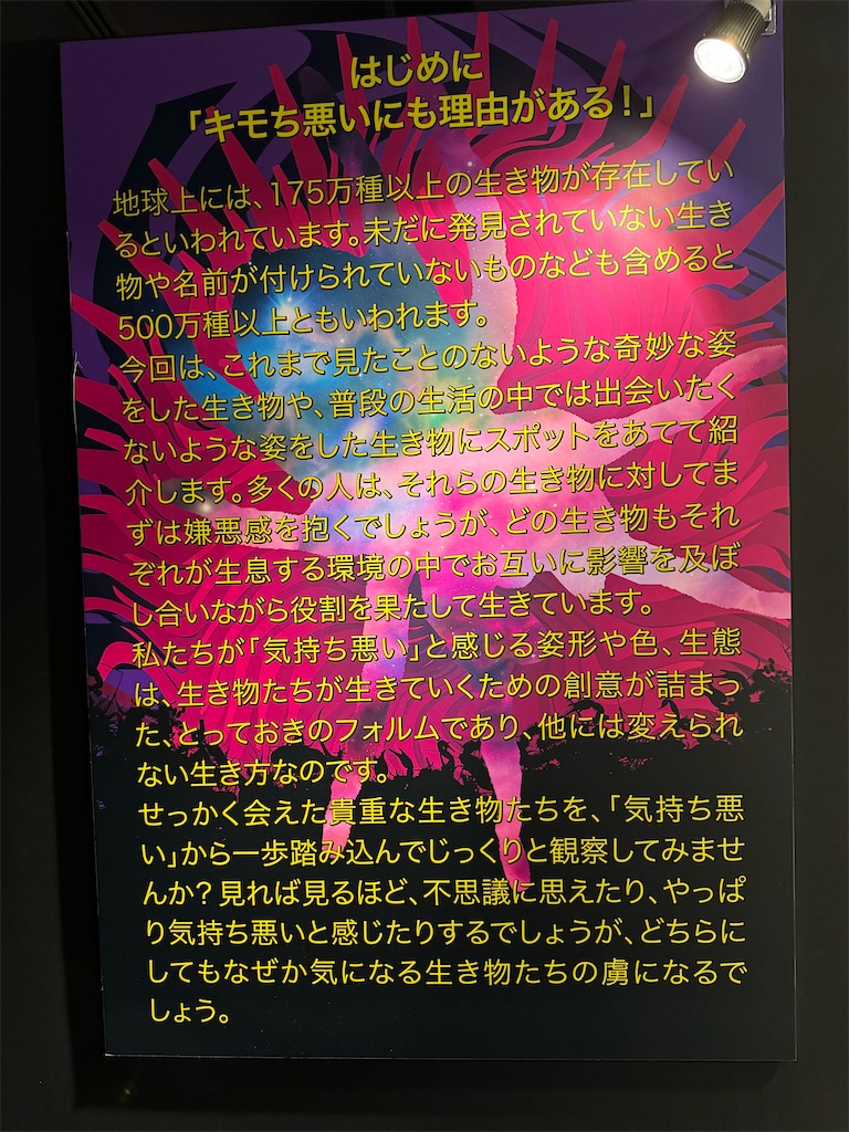 f:id:GK_GK21:20240526163348j:image