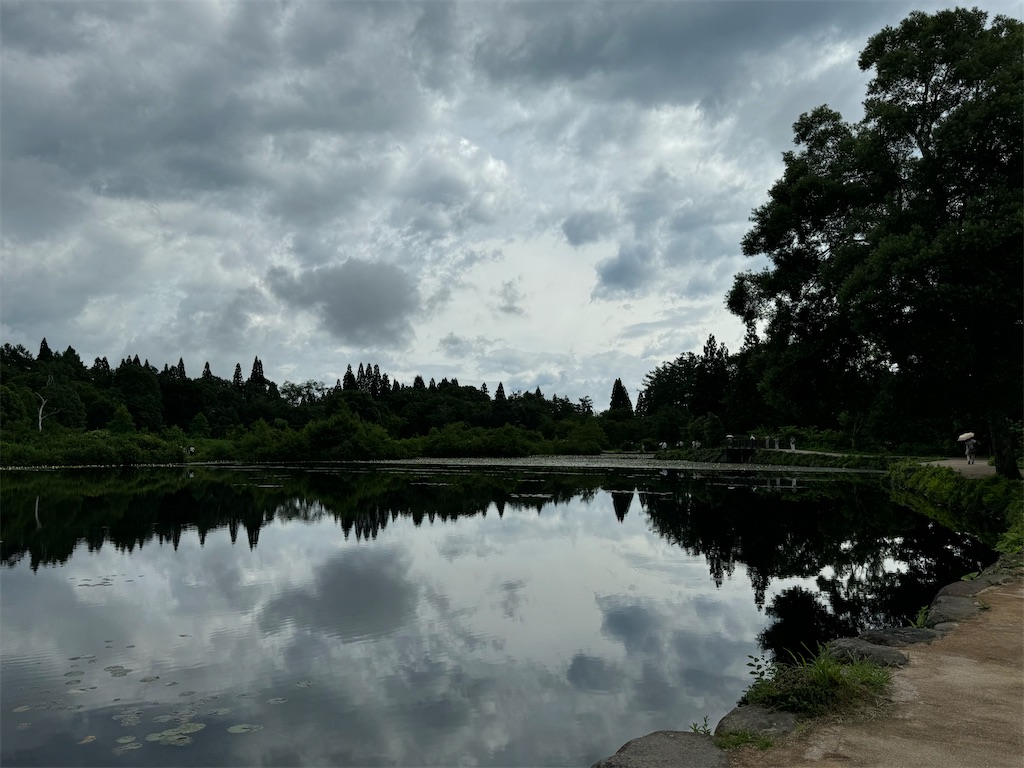 f:id:GK_GK21:20240728195016j:image f:id:GK_GK21:20240728195016j:image