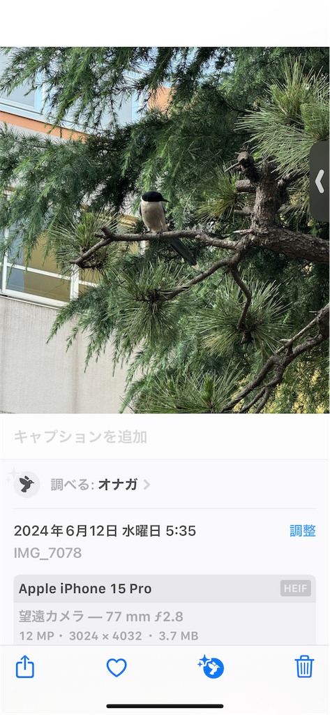 f:id:GK_GK21:20240807060101p:image f:id:GK_GK21:20240807060101p:image
