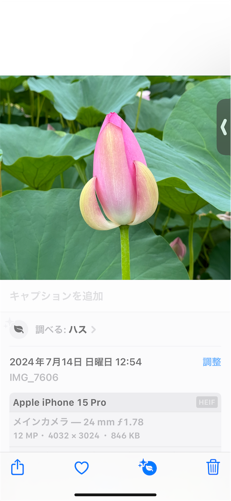 f:id:GK_GK21:20240807060105p:image f:id:GK_GK21:20240807060105p:image