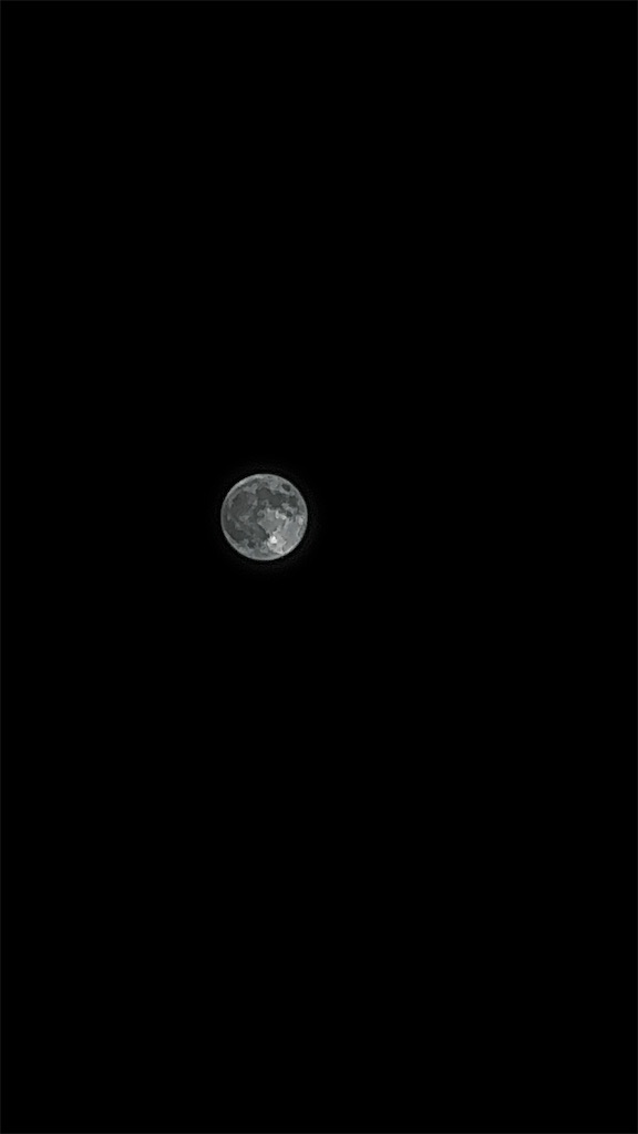 f:id:GK_GK21:20241018073424j:image