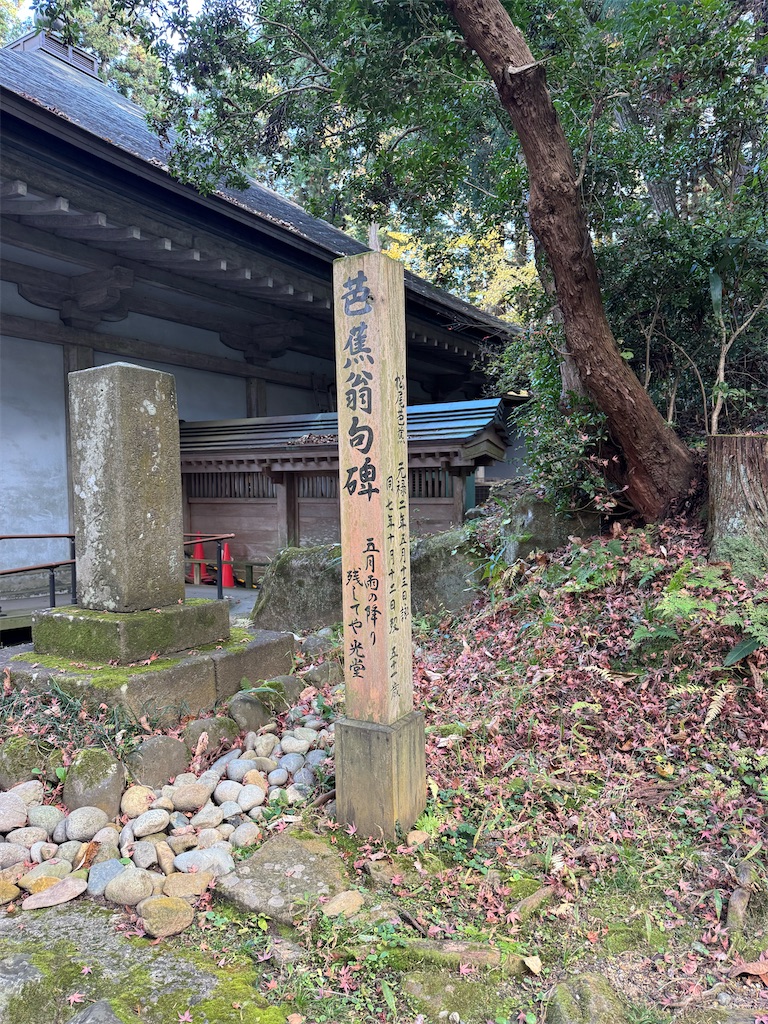 f:id:GK_GK21:20241130105012j:image