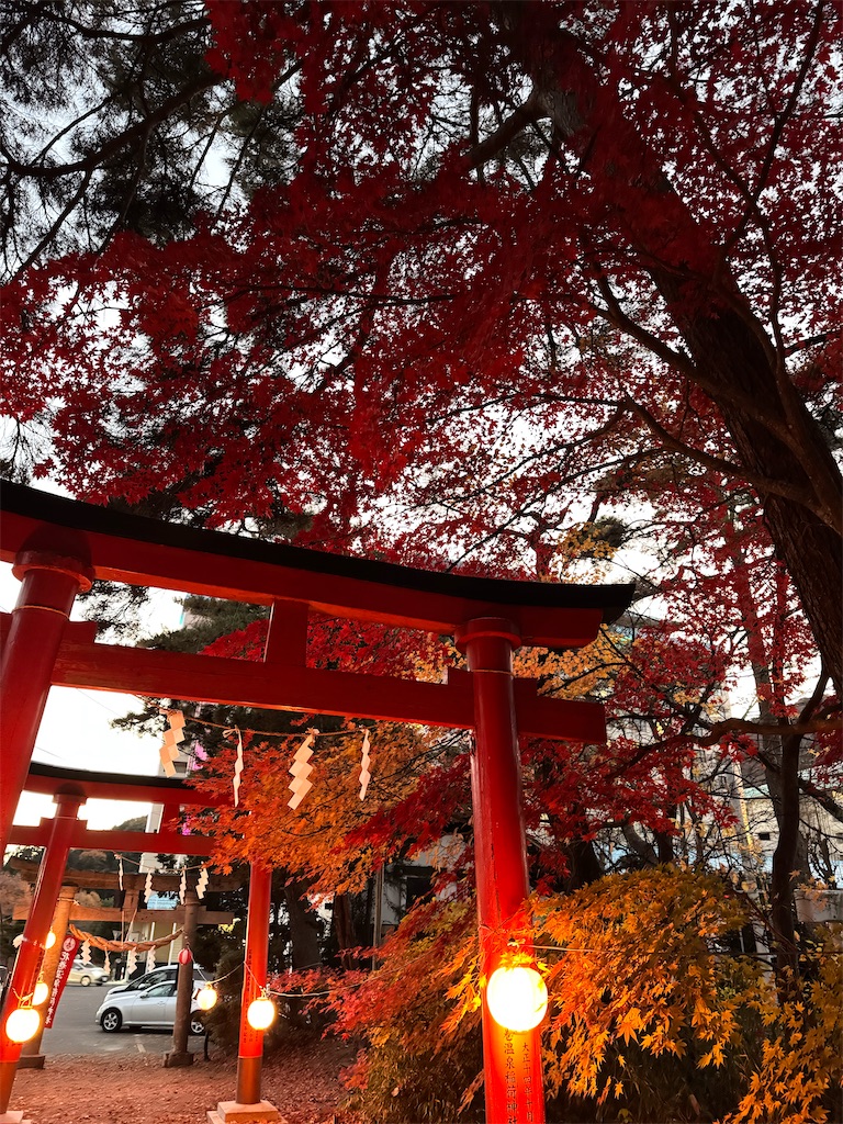 f:id:GK_GK21:20241130190042j:image