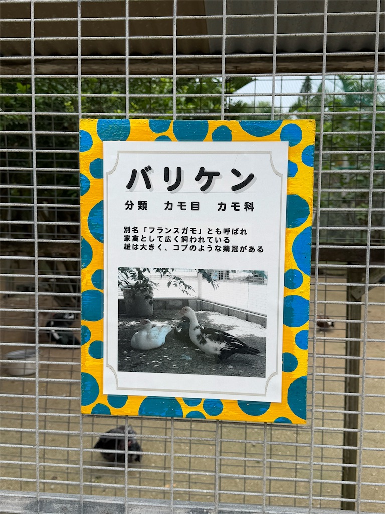 f:id:GK_GK21:20241219190245j:image