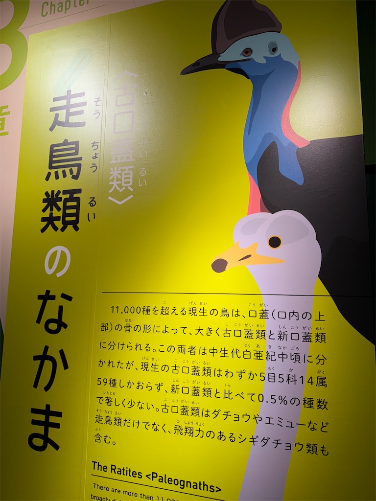 f:id:GK_GK21:20250111170643j:image