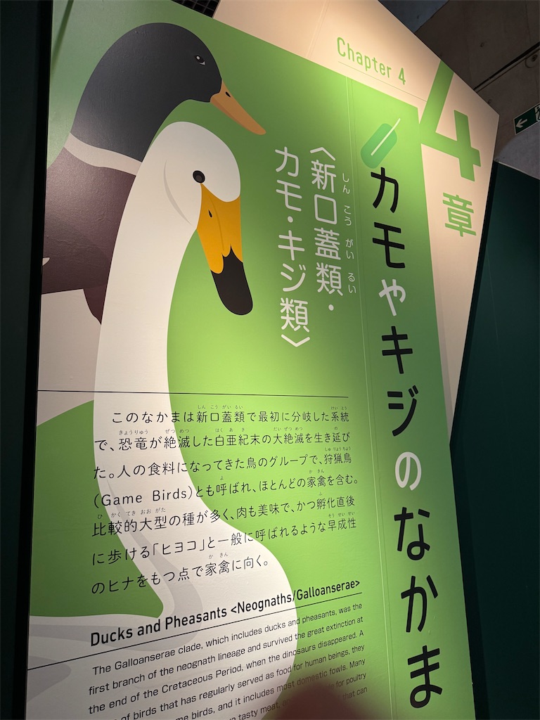 f:id:GK_GK21:20250111170649j:image
