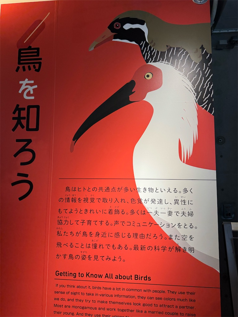 f:id:GK_GK21:20250111170718j:image