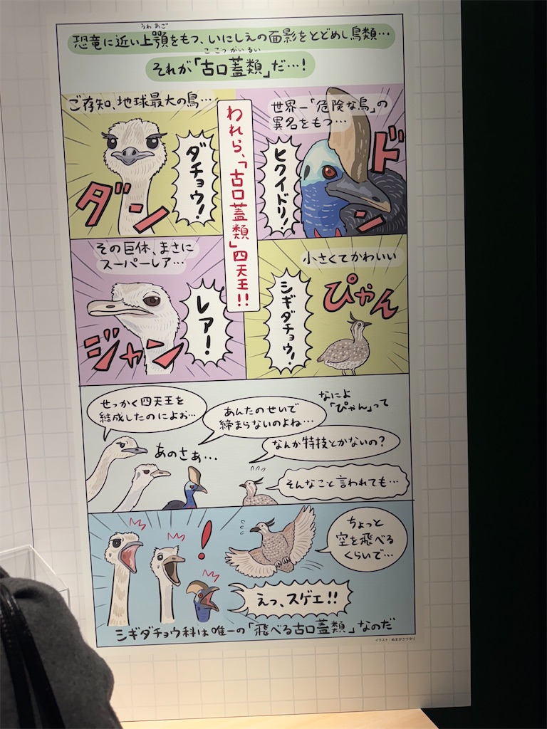 f:id:GK_GK21:20250111170744j:image