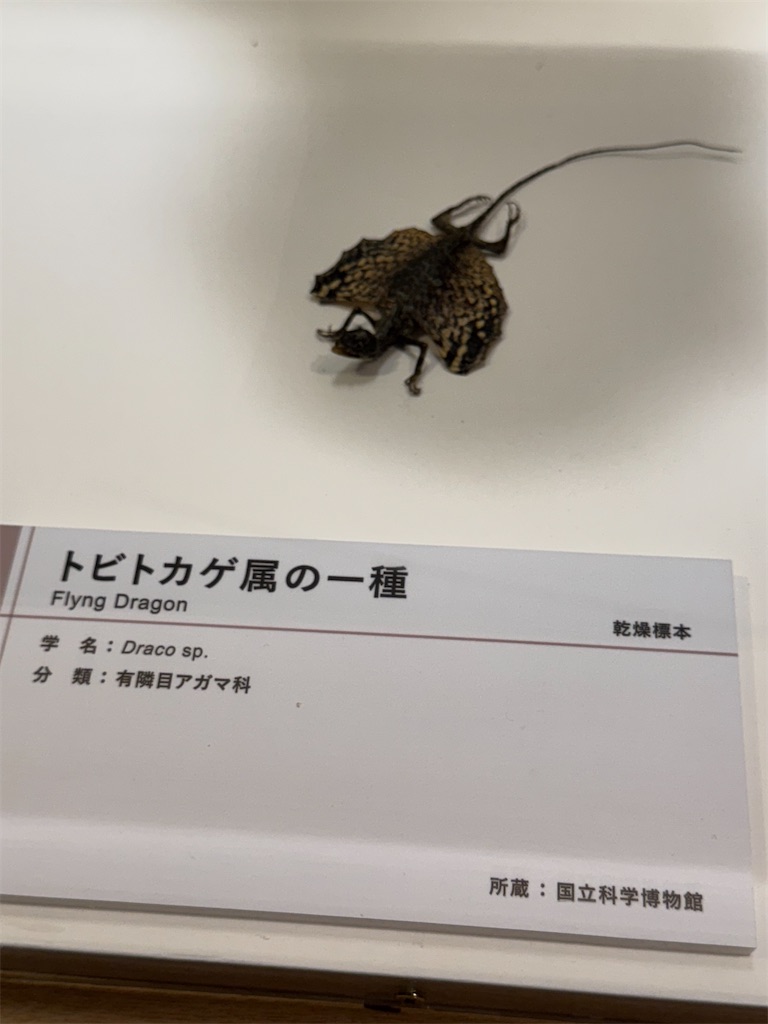 f:id:GK_GK21:20250111170826j:image