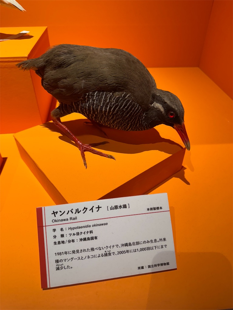 f:id:GK_GK21:20250112065418j:image