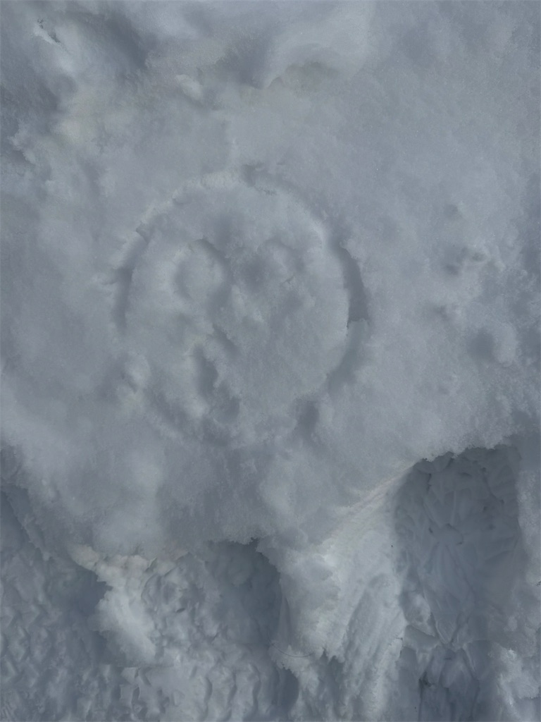 f:id:GK_GK21:20250120192829j:image