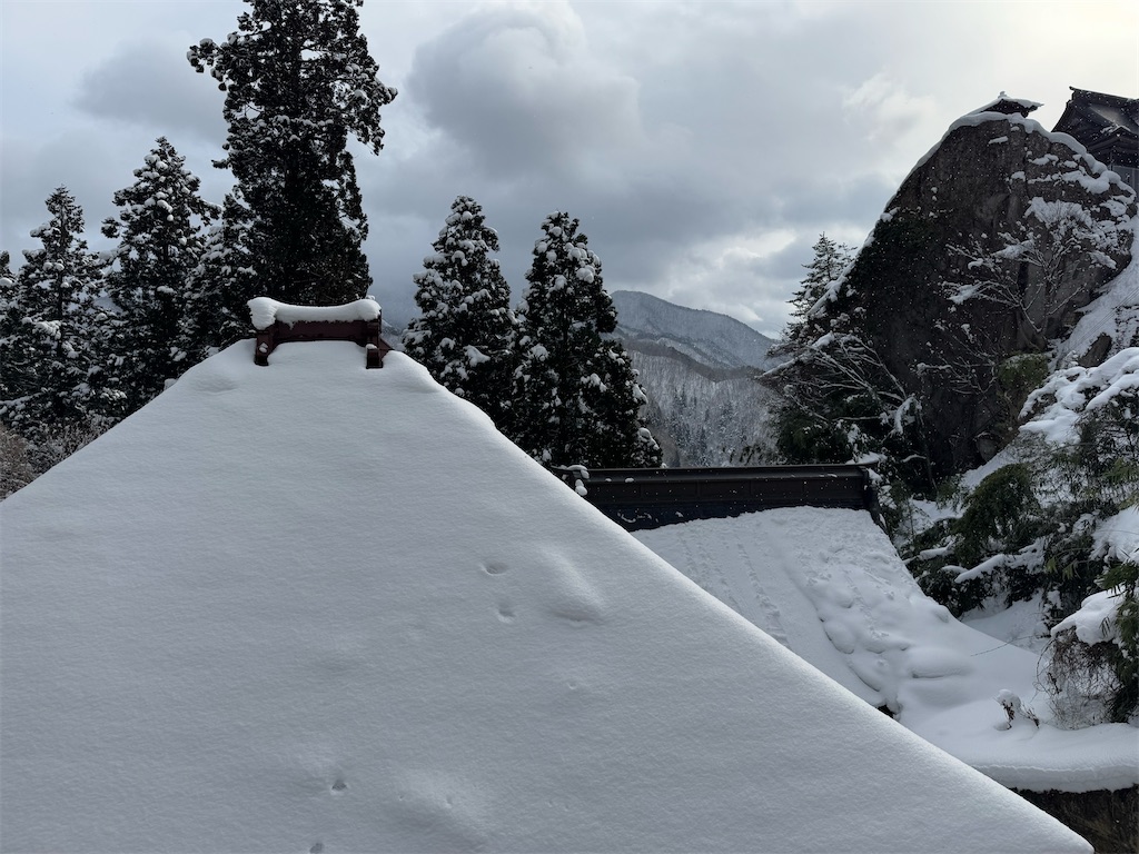 f:id:GK_GK21:20250120192918j:image