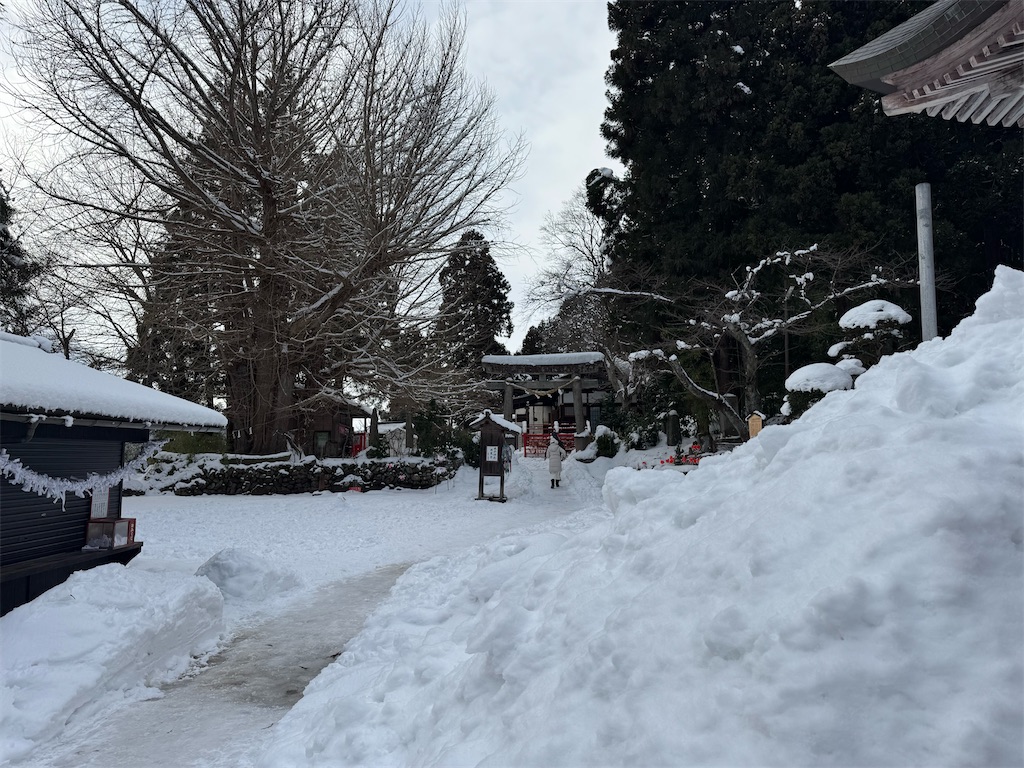 f:id:GK_GK21:20250120193001j:image