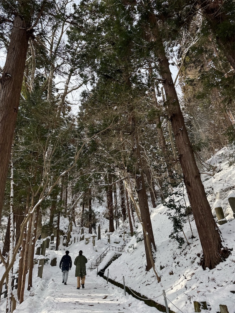f:id:GK_GK21:20250120193005j:image