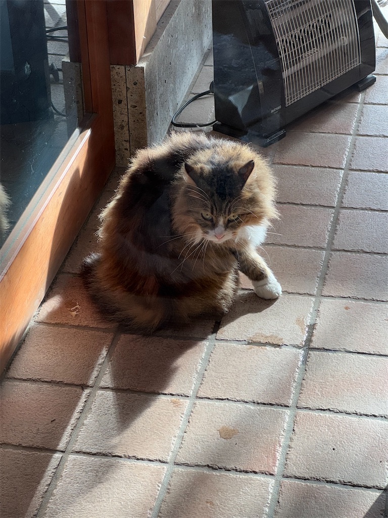 f:id:GK_GK21:20250120193011j:image
