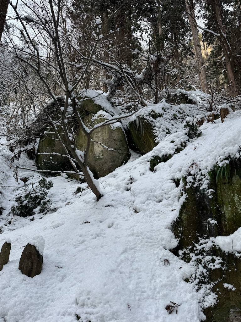 f:id:GK_GK21:20250120193104j:image