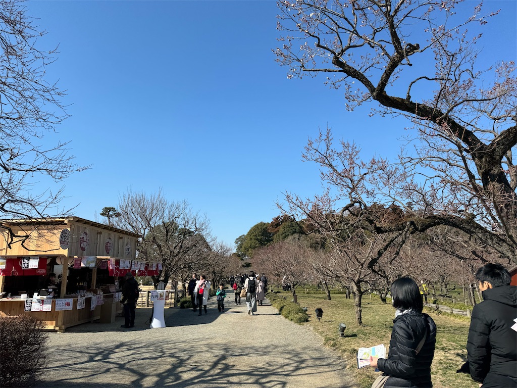 f:id:GK_GK21:20250217035522j:image