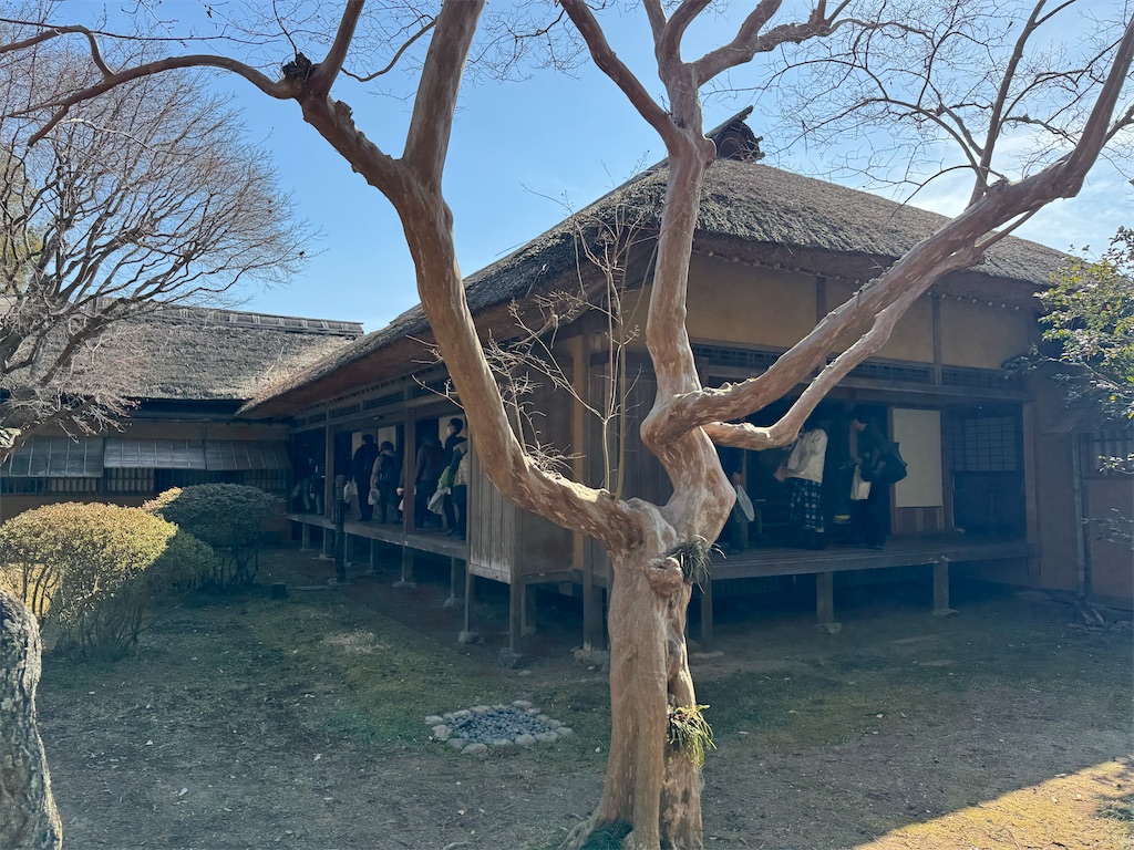 f:id:GK_GK21:20250217035537j:image