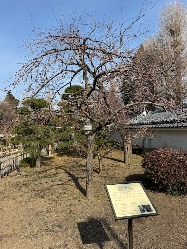 f:id:GK_GK21:20250217035810j:image