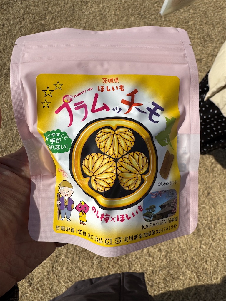 f:id:GK_GK21:20250219203758j:image