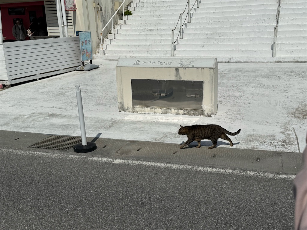 f:id:GK_GK21:20250324184619j:image