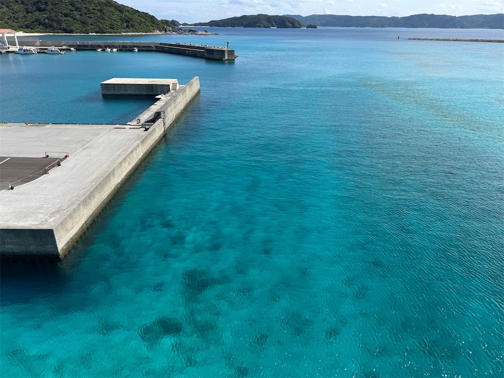 f:id:GK_GK21:20250327194630j:image