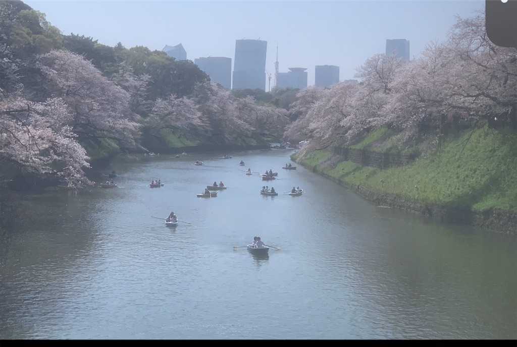f:id:GK_GK21:20250401204816j:image