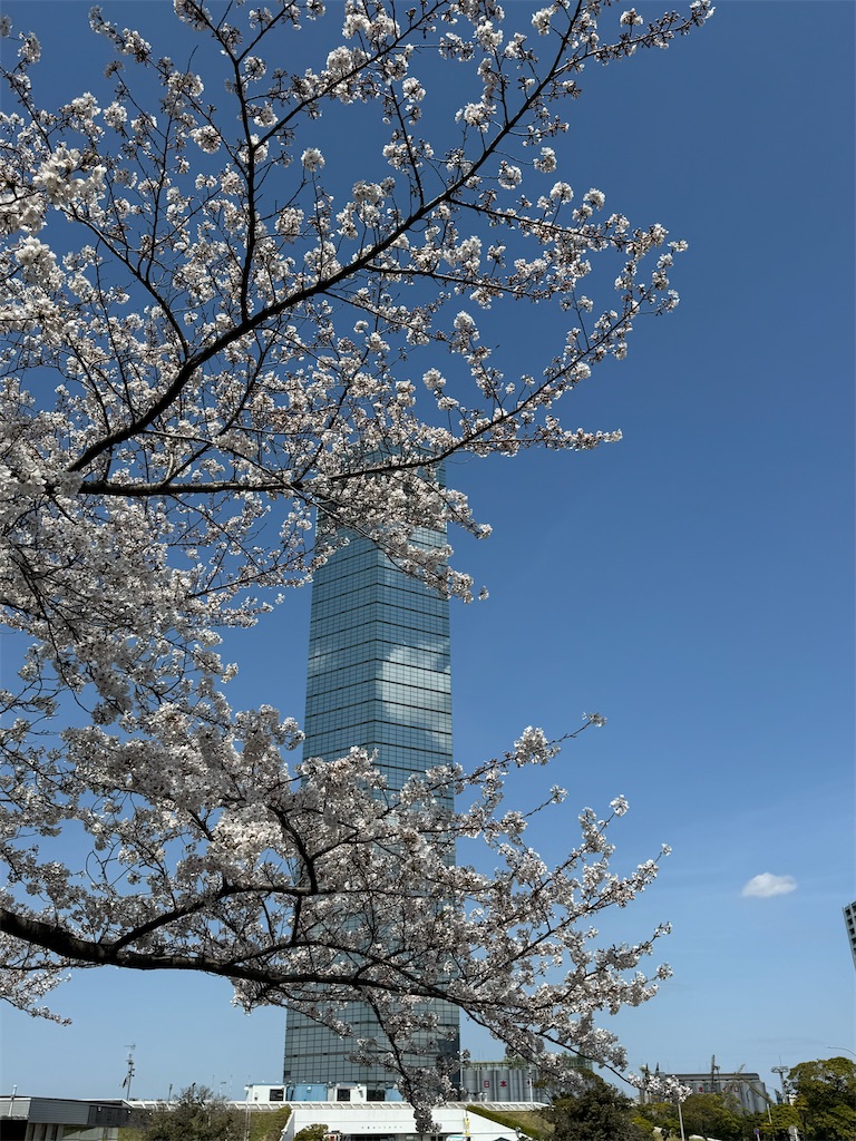 f:id:GK_GK21:20250406101006j:image