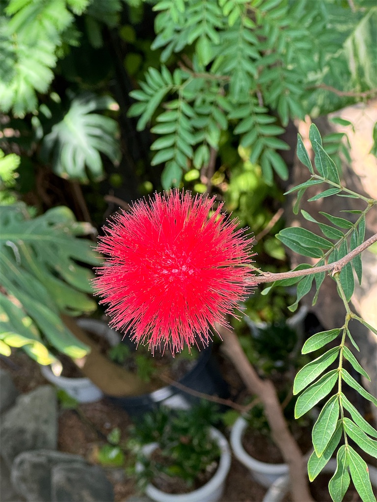 f:id:GK_GK21:20250406101149j:image