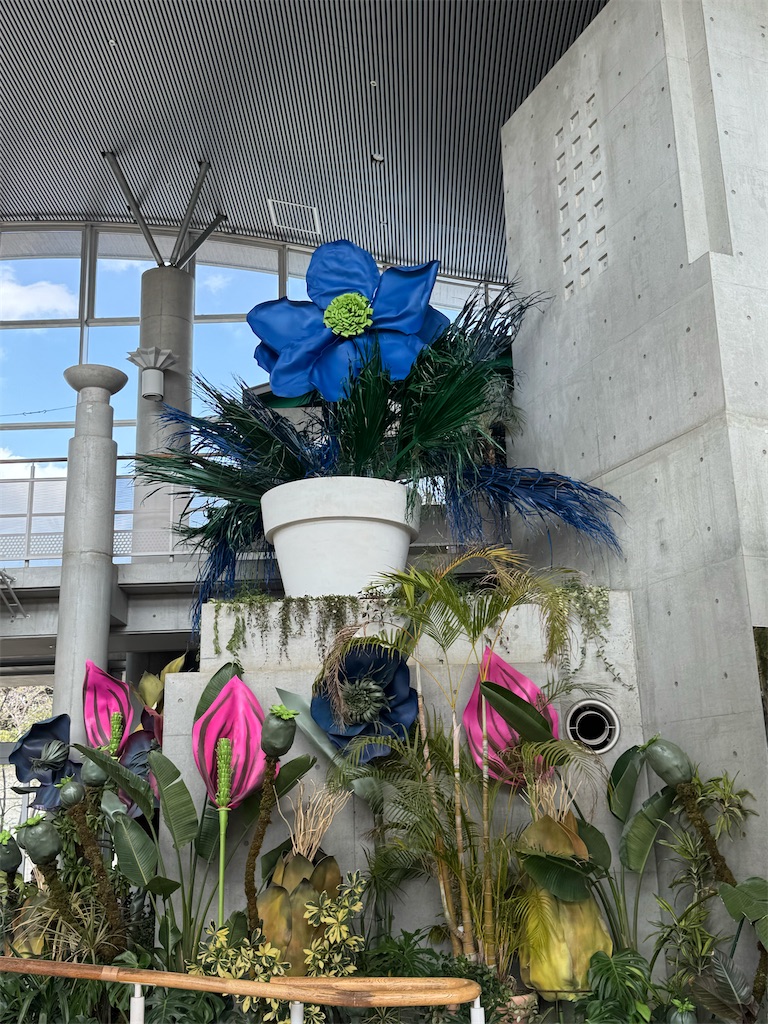 f:id:GK_GK21:20250406101232j:image