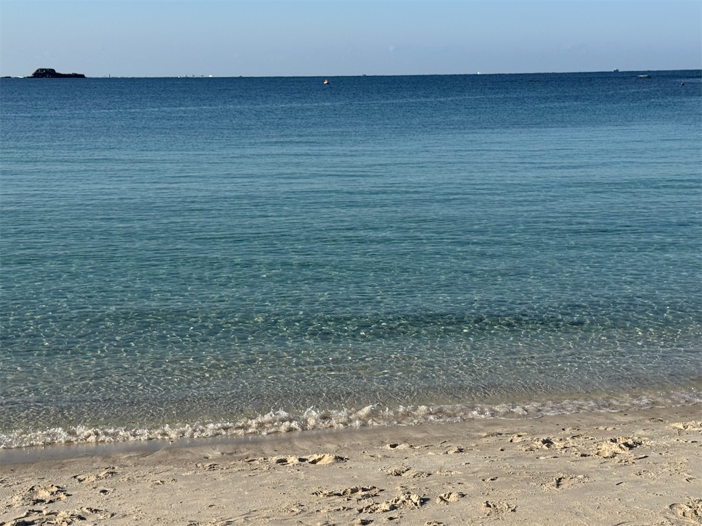 f:id:GK_GK21:20251201030824j:image f:id:GK_GK21:20251201030824j:image