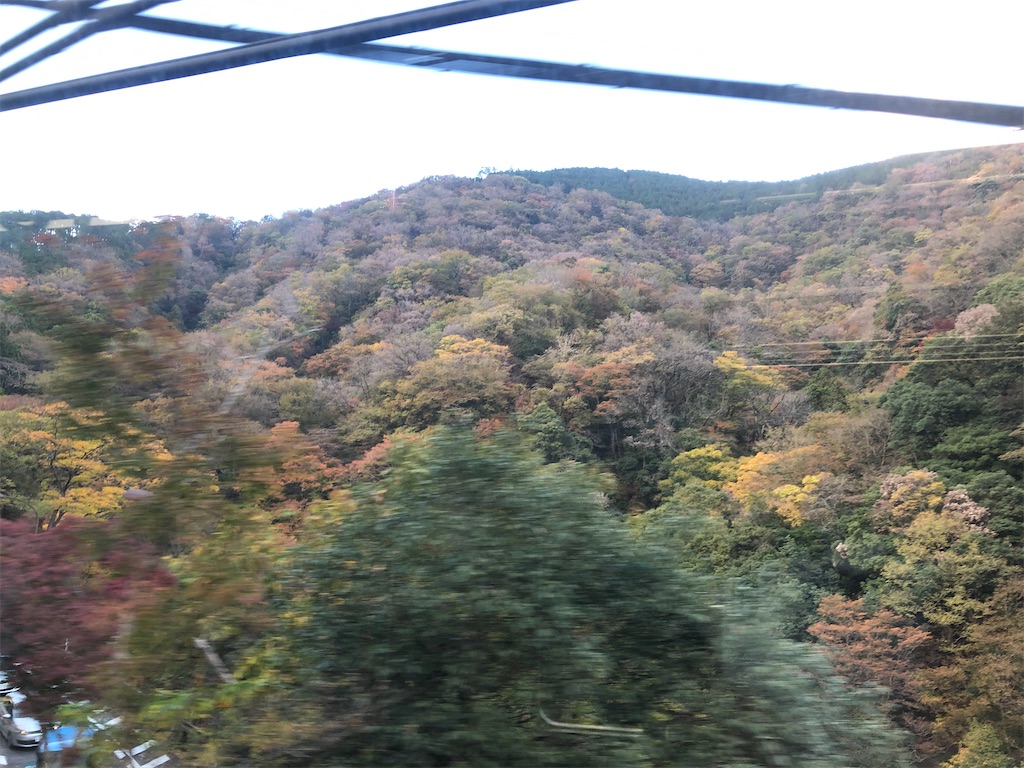 f:id:GNUF1MgBPv6PRrd:20201115180854j:image f:id:GNUF1MgBPv6PRrd:20201115180854j:image
