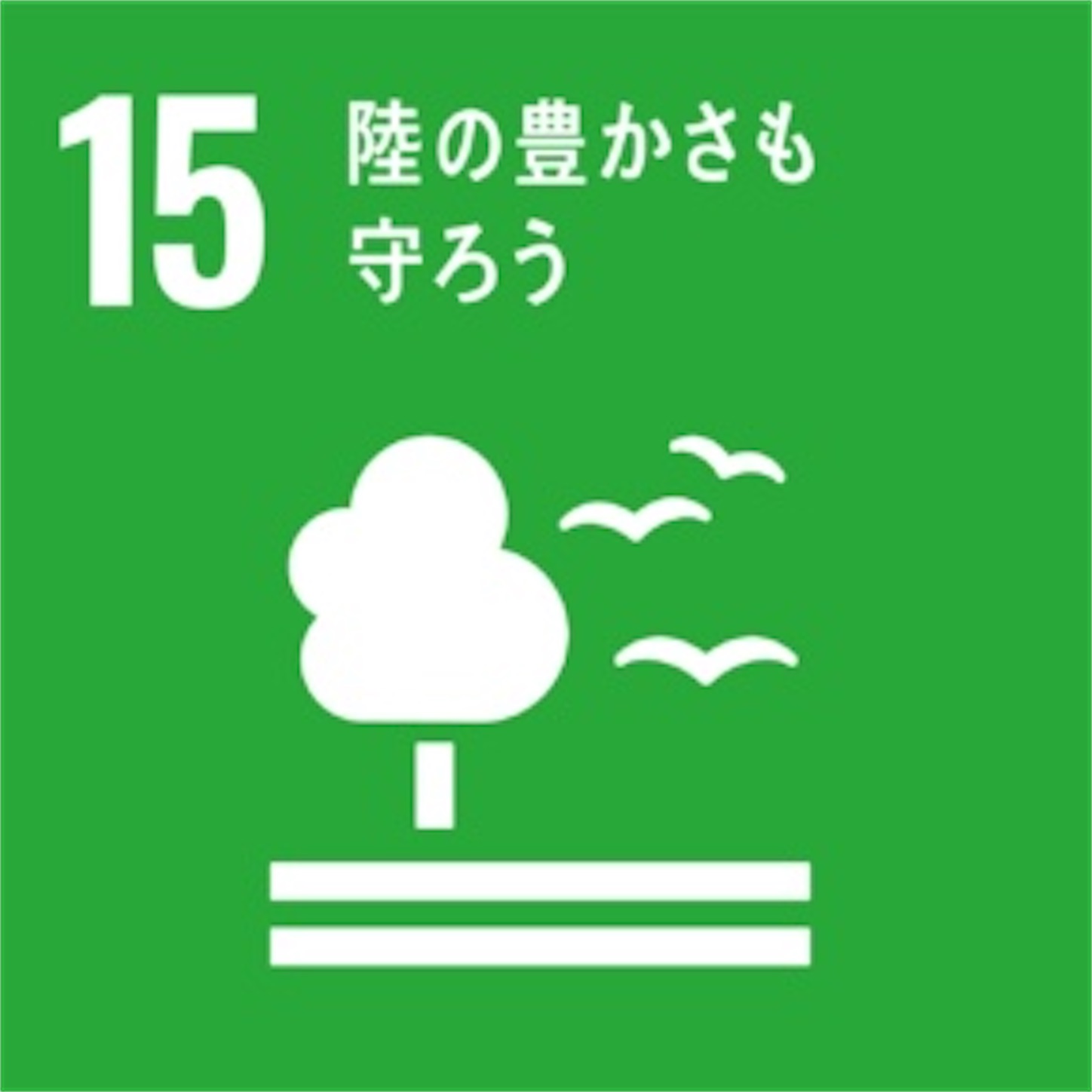f:id:GNUF1MgBPv6PRrd:20210619154643j:image f:id:GNUF1MgBPv6PRrd:20210619154643j:image