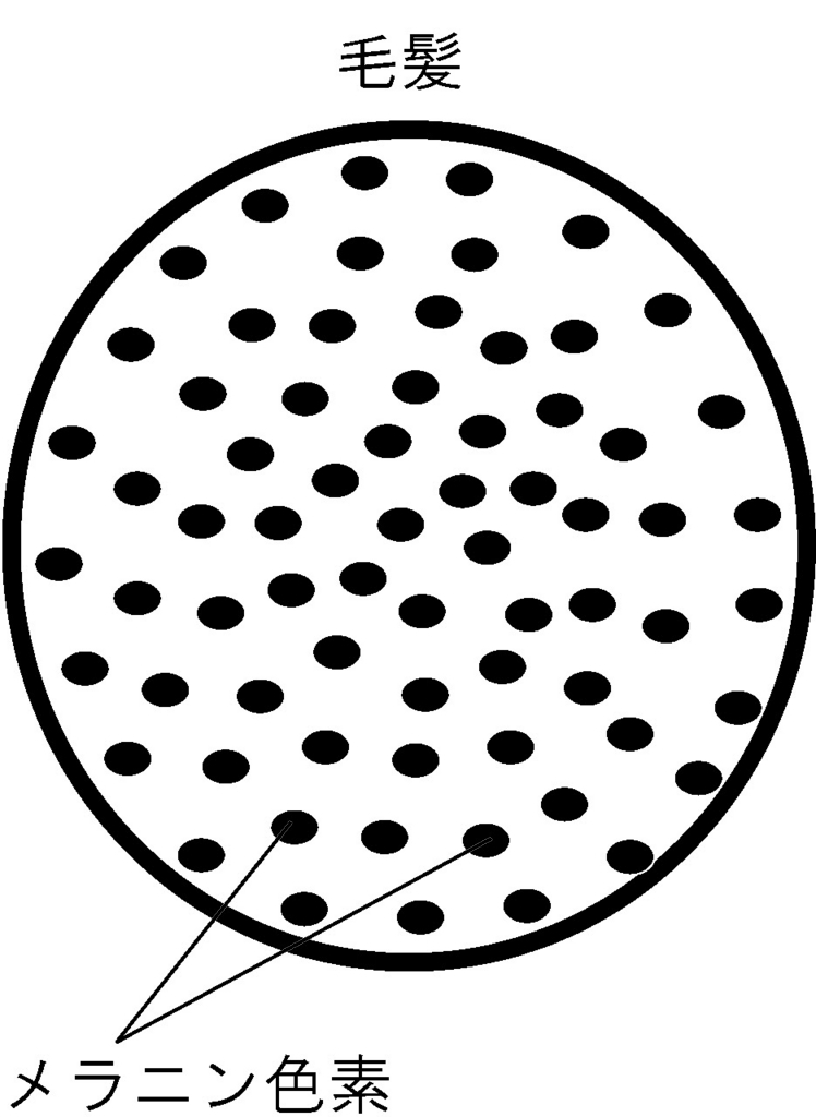 f:id:GOIS:20170925121203j:plain f:id:GOIS:20170925121203j:plain