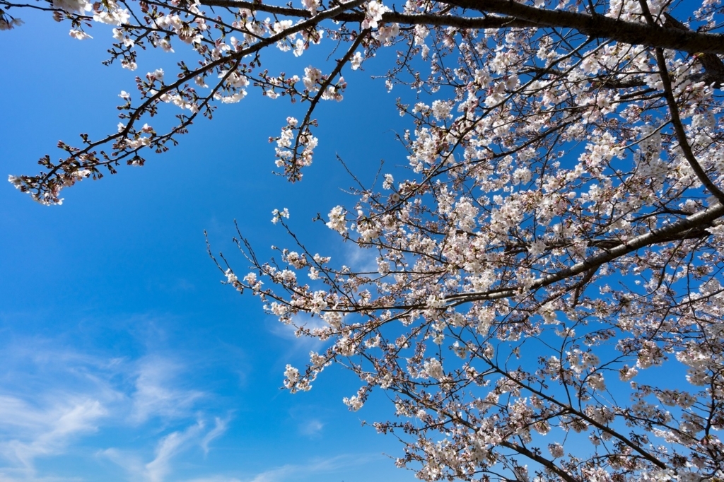 f:id:GOIS:20180323012101j:plain f:id:GOIS:20180323012101j:plain